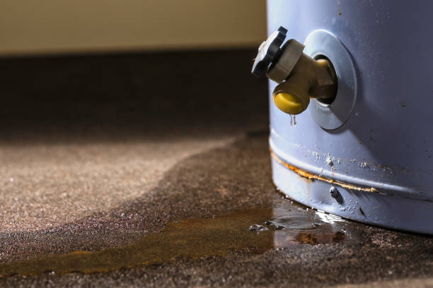 Best Flood restoration services  in Neah Bay, WA