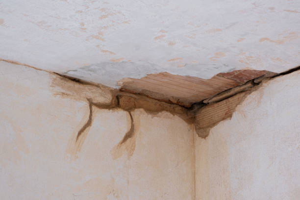 Best Flood damage cleanup  in Neah Bay, WA