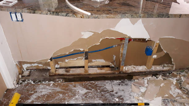 Best Mold removal after water damage  in Neah Bay, WA