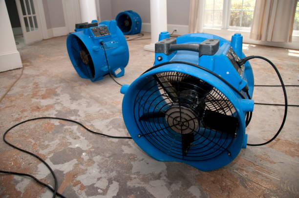 Best Professional water damage repair  in Neah Bay, WA