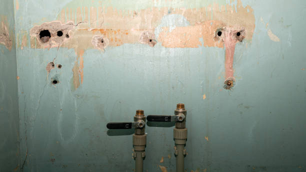 Best Water damage restoration near me  in Neah Bay, WA