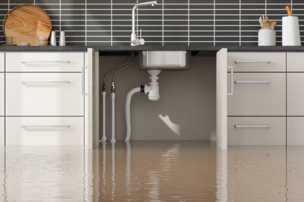 Best Ceiling water damage repair  in Neah Bay, WA